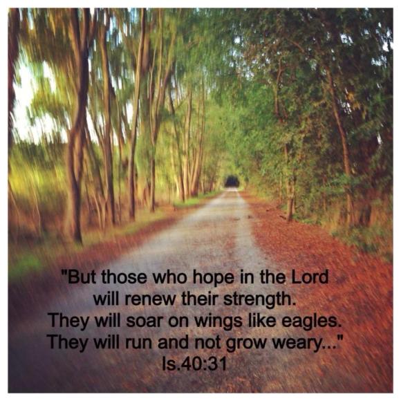 1545164_10202980502046574_7425368994317317358_n